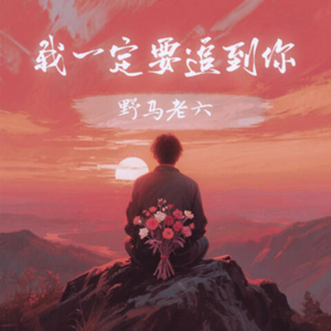 我一定要追到你