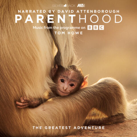 Parenthood: The Greatest Adventure (Music From The Programme On BBC)