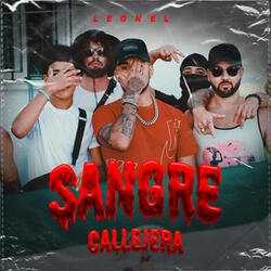 SANGRE CALLEJERA