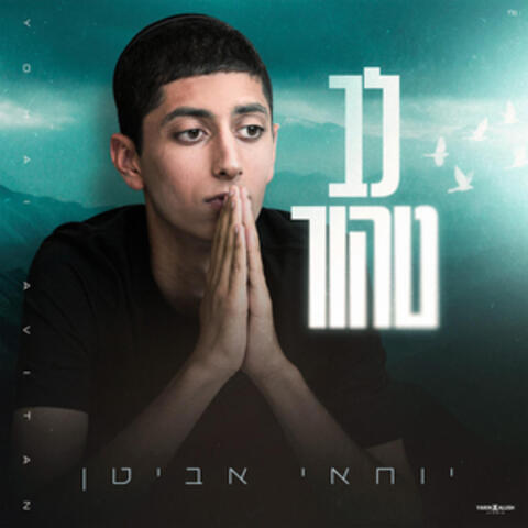 לב טהור