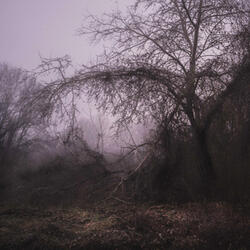 Your Pieces Scattered