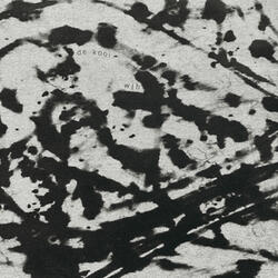 de kooi 9 (one more before you go)