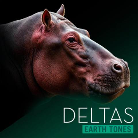 Earth Tones: Deltas