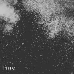 Fine