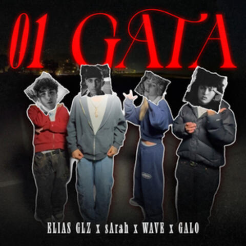 01 Gata