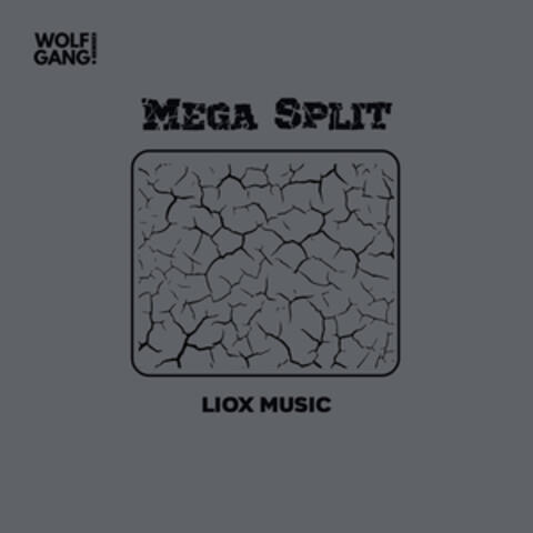 Mega Split