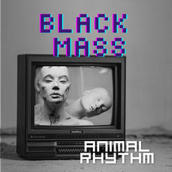 Animal Rhythm