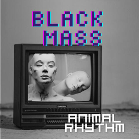 Animal Rhythm