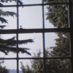 You Found Your Flower