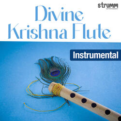 Hey Govind Hey Gopal (Instrumental)