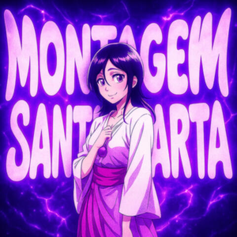 MONTAGEM SANTA MARTA