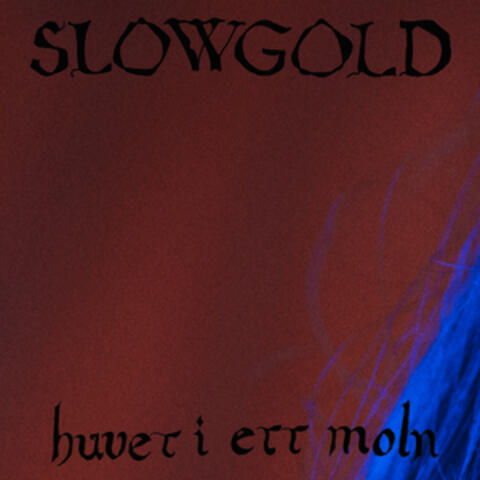 Huvet i ett moln