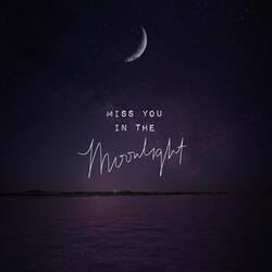 Miss You in the Moonlight