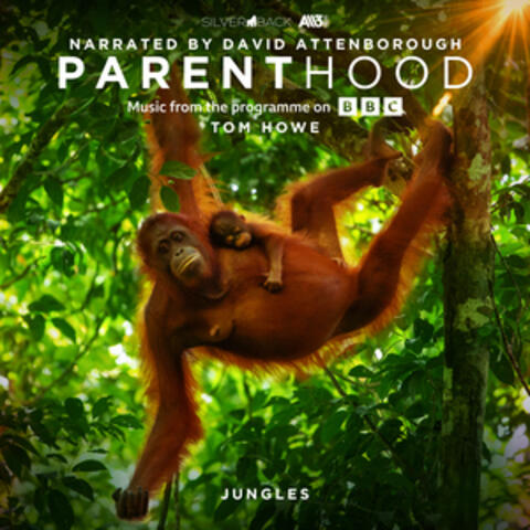 Parenthood: Jungles (Music From The Programme On BBC)
