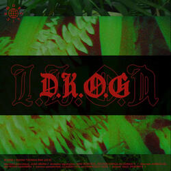 Dkog
