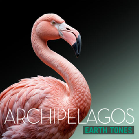 Earth Tones: Archipelagos