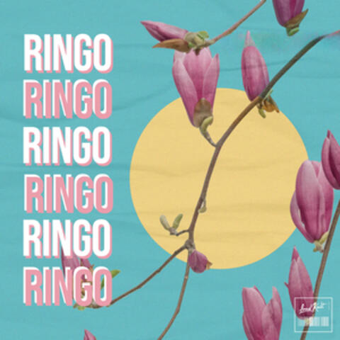 Ringo
