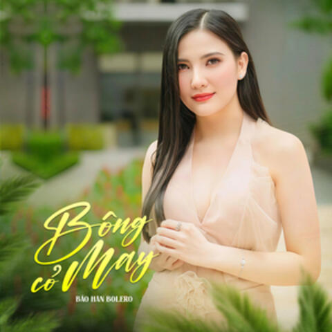Bông Cỏ May