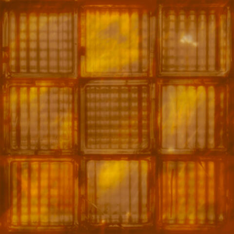 Evening Psalm (feat. Bella Stebbins)