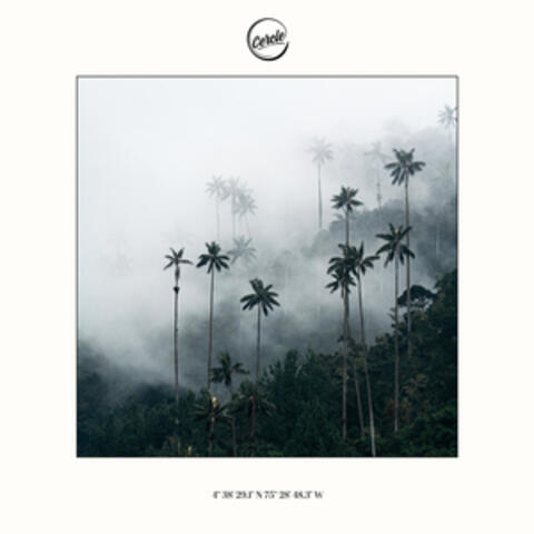 Cocora (A La Fuente)