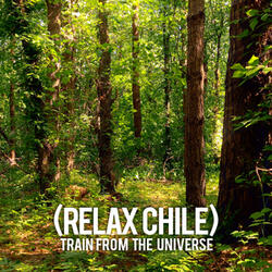 TRAIN FROM THE UNIVERSE