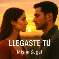 LLEGASTE TÚ