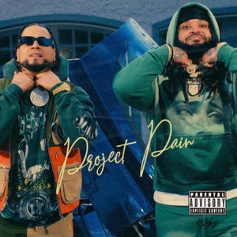Project Pain