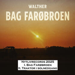 Bag Farøbroen