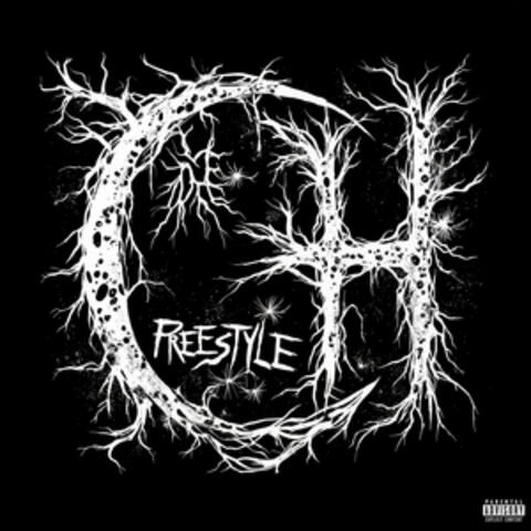 Freestyle