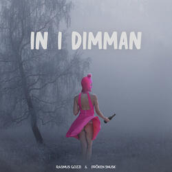 IN I DIMMAN