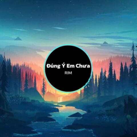 Đúng Ý Em Chưa (Remix)