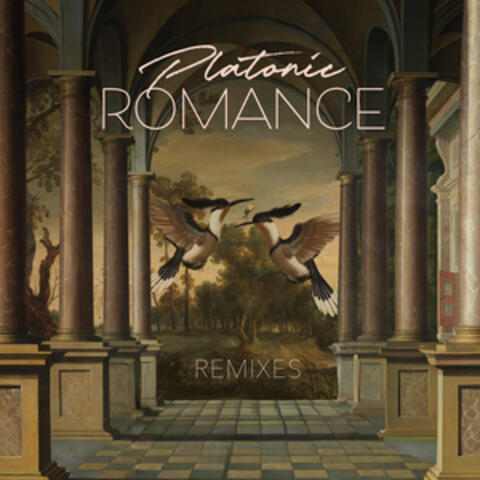 Platonic Romance