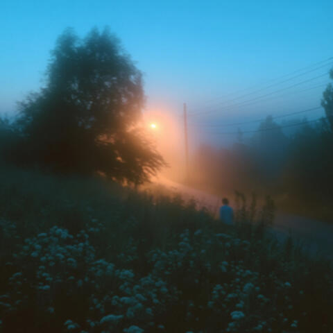 Early morning things