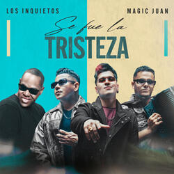 Se Fue La Tristeza