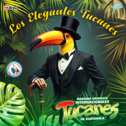 Los Elegantes Tucanes. Música de Guatemala para los Latinos