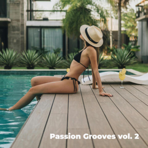 Passion Grooves, Vol. 2