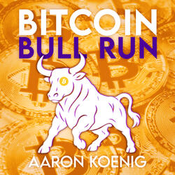 Bitcoin Bull Run