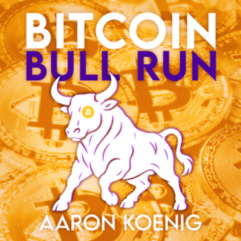 Bitcoin Bull Run