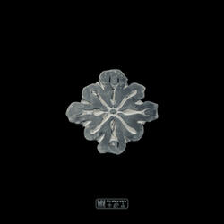 Good Fellas (feat. Belly)