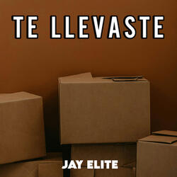 Te Llevaste