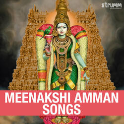 Devi Neeye Thunai (Instrumental)