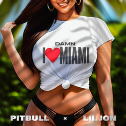 Damn I Love Miami