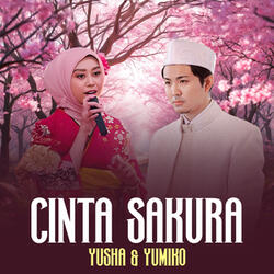 Cinta Sakura