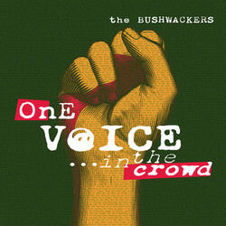 One Voice In The Crowd