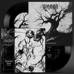 tormented flesh MMXXV