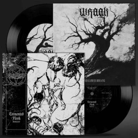 tormented flesh / unhallowed domains