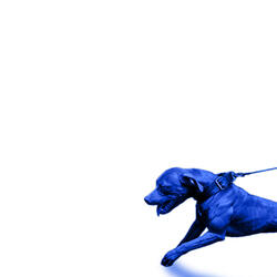 DOCUSIGN