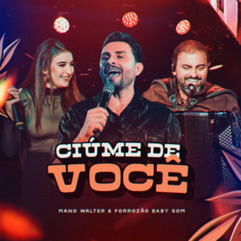 Ciúmes de Você