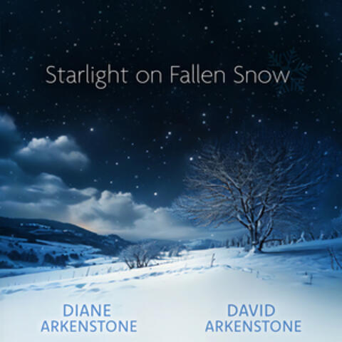 Starlight on Fallen Snow