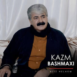Ba Klaw Zari Bazulfi Tari